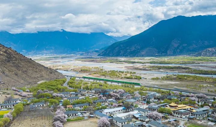 格桑花开映山河 团结奋进新征程——以习近平同志为核心的党中央情系雪域儿女擘画西藏发展纪实