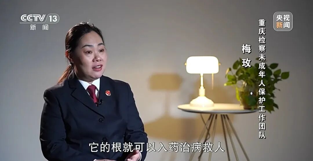 【央视·新闻周刊】重庆 “莎姐”：我们办的不仅是案子，更是孩子的人生